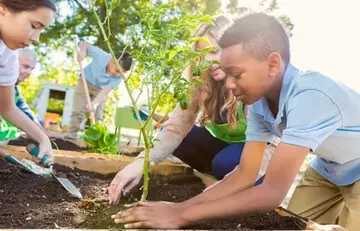 School Garden